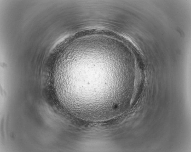 X0000091100967200708131103