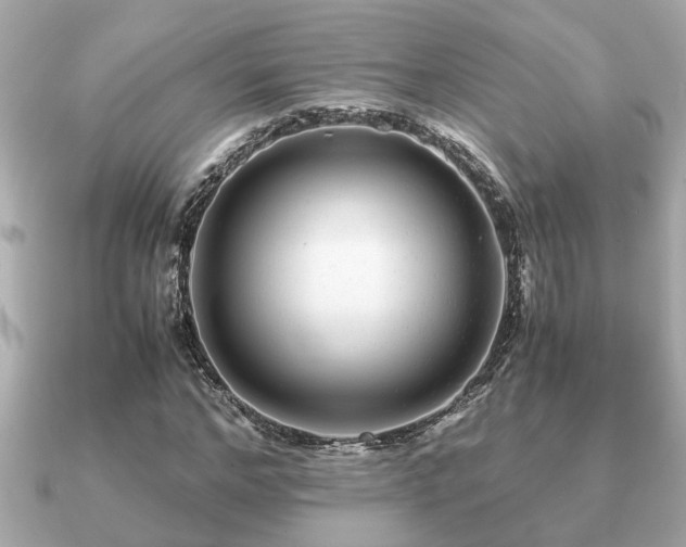 X0000091100968200708131103