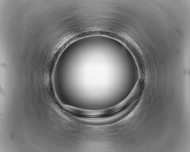 X0000091100969200708131103