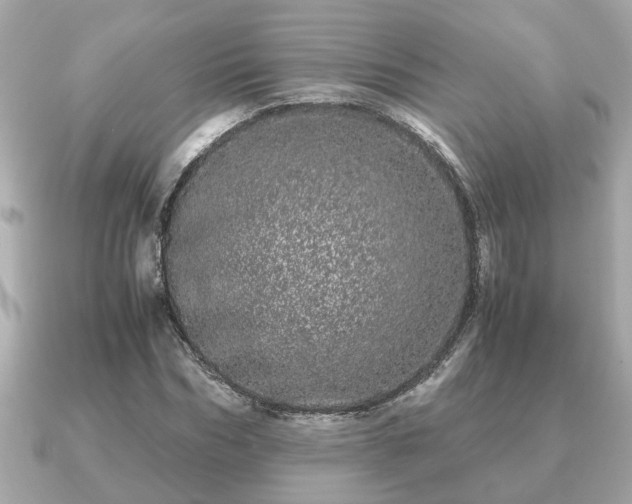 X0000091100970200708131103