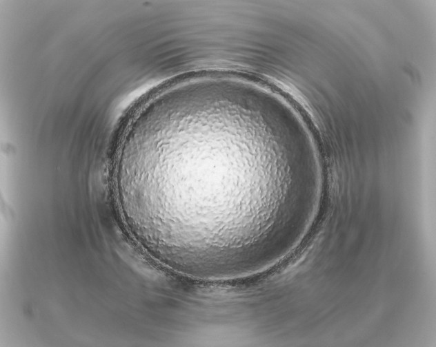 X0000091100971200708131103