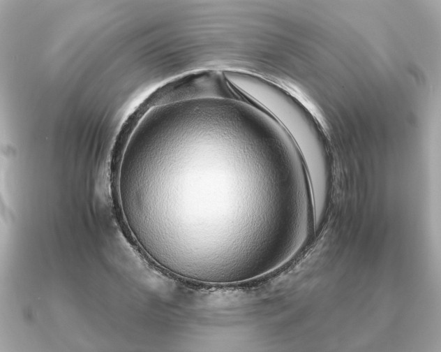 X0000091100972200708131103