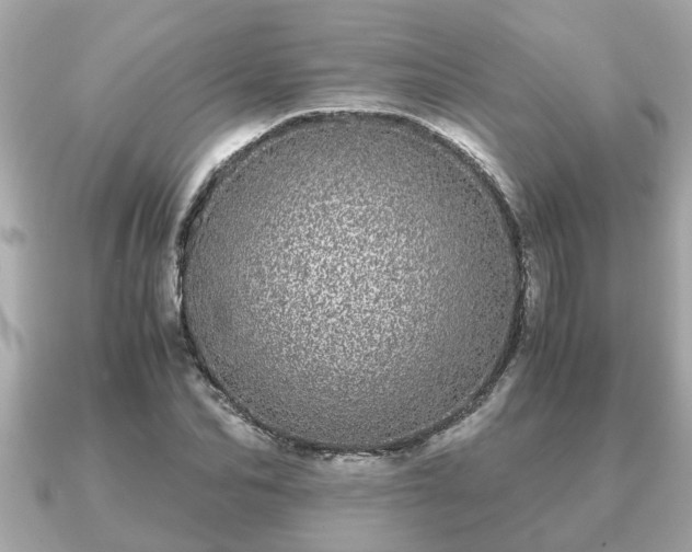 X0000091100974200708131103