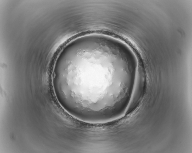 X0000091100975200708131103