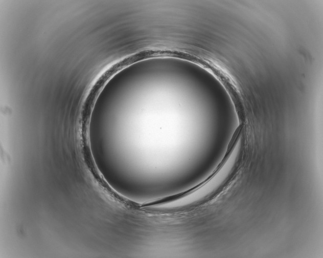 X0000091100976200708131103