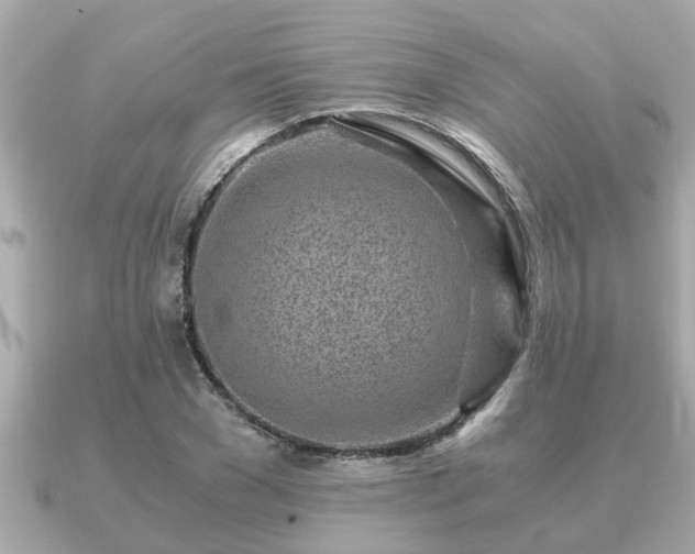 X0000091100977200708131103