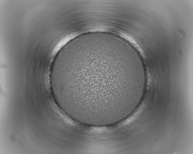 X0000091100978200708131103