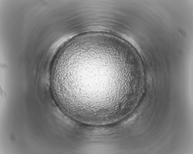 X0000091100979200708131103