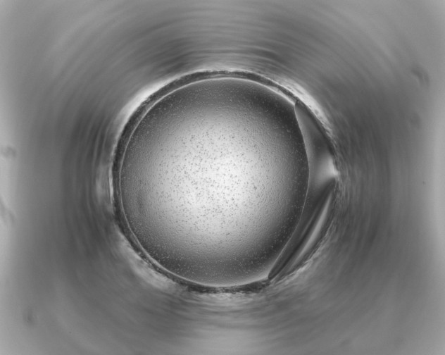 X0000091100980200708131103