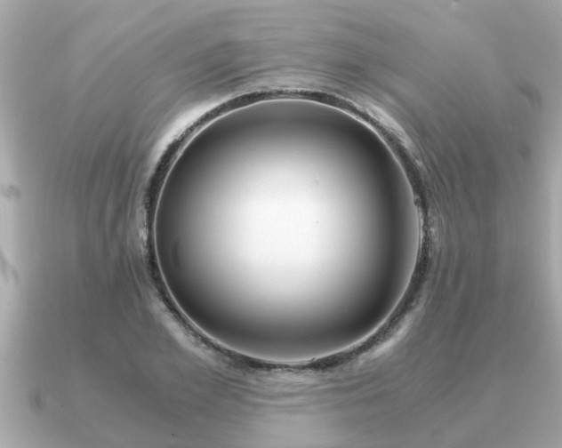 X0000091100981200708131103