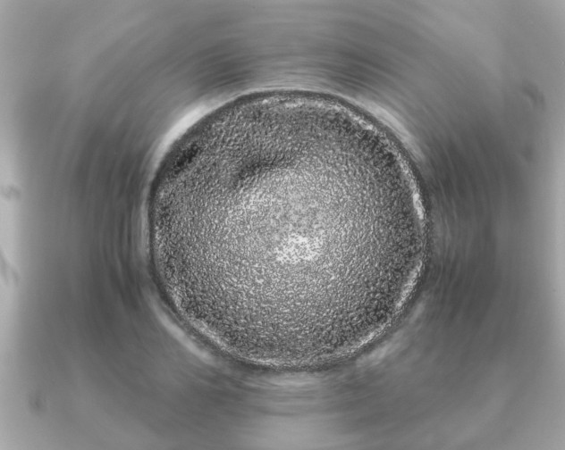 X0000091100982200708131103