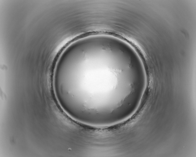 X0000091100983200708131103