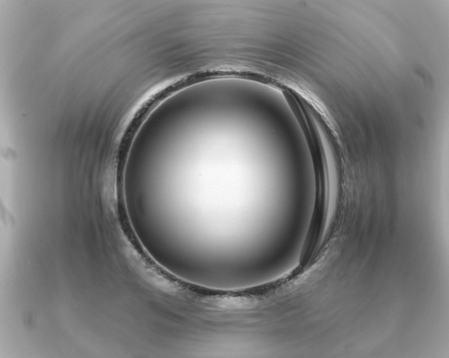 X0000091100984200708131103