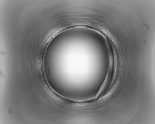 X0000091100985200708131103