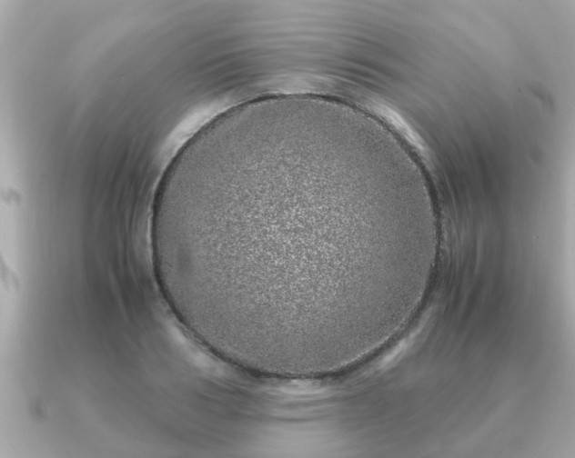 X0000091100986200708131103