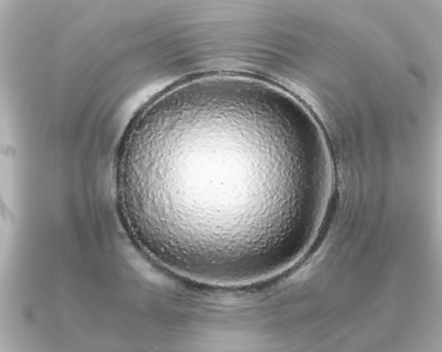 X0000091100987200708131103