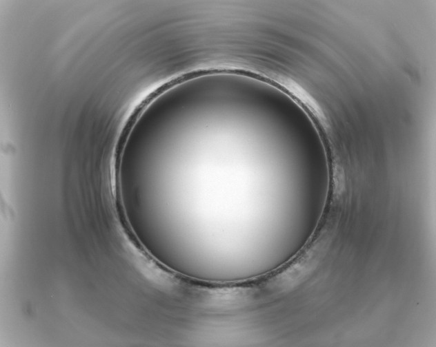 X0000091100988200708131103