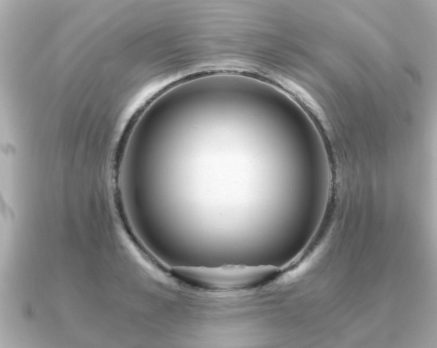 X0000091100989200708131103