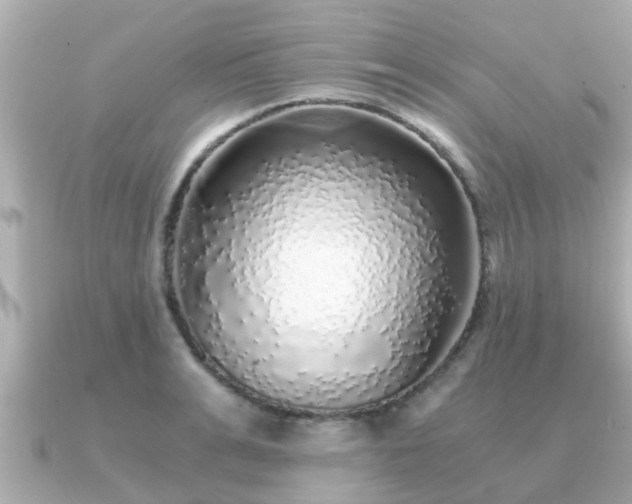 X0000091100991200708131103