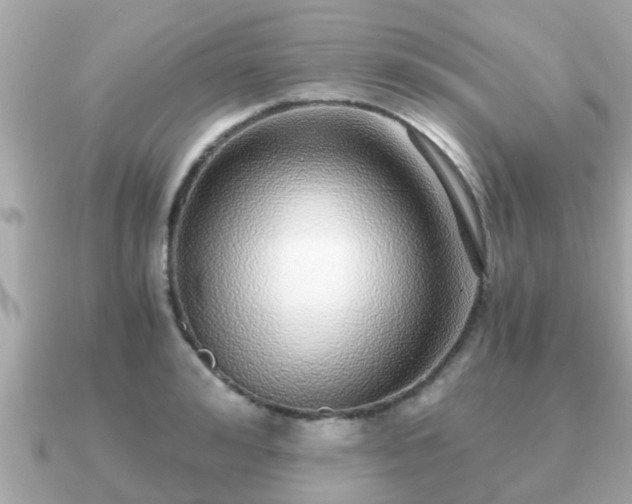 X0000091100992200708131103