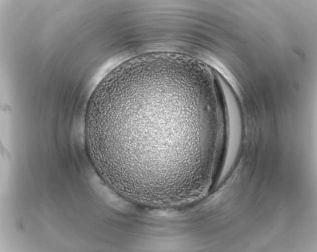 X0000091100994200708131103