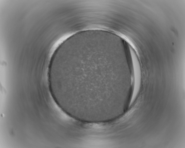 X0000091100995200708131103