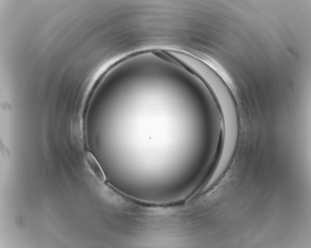 X0000091100996200708131103