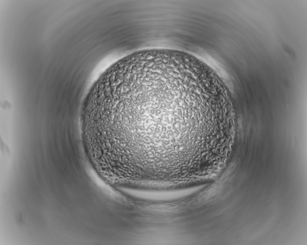 X0000091100998200708131103