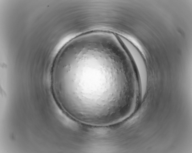 X0000091100999200708131103