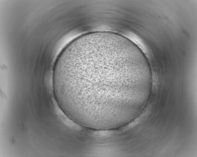 X0000091101000200708131103