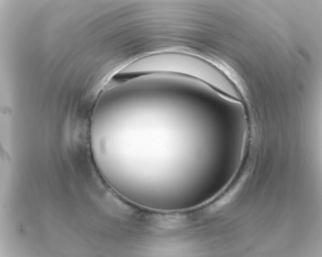 X0000091101001200708131103