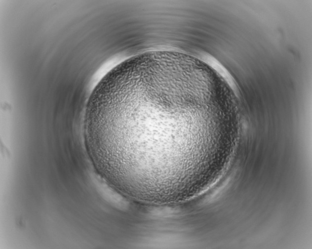 X0000091101002200708131103