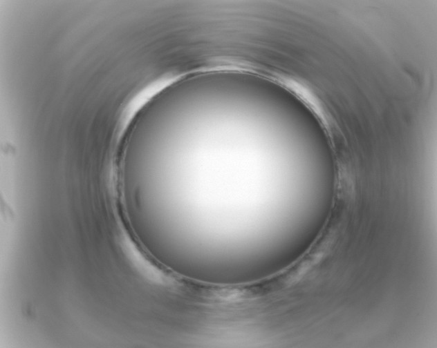 X0000091101003200708131103