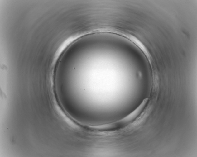 X0000091101005200708131103