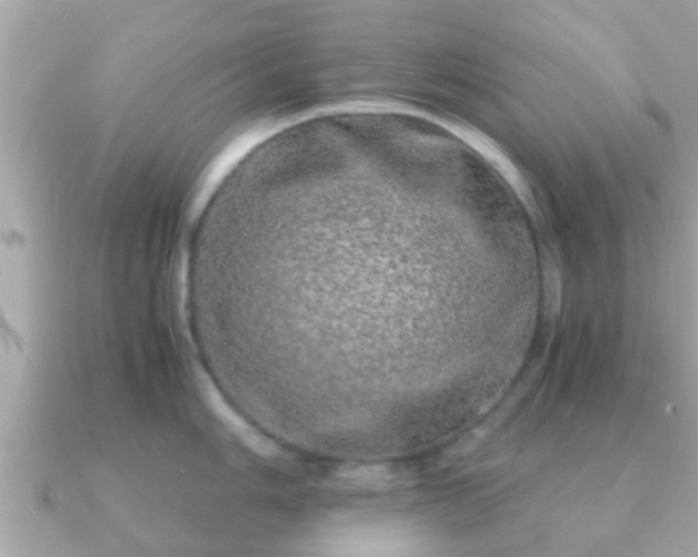 X0000091101006200708131103