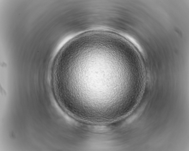 X0000091101007200708131103