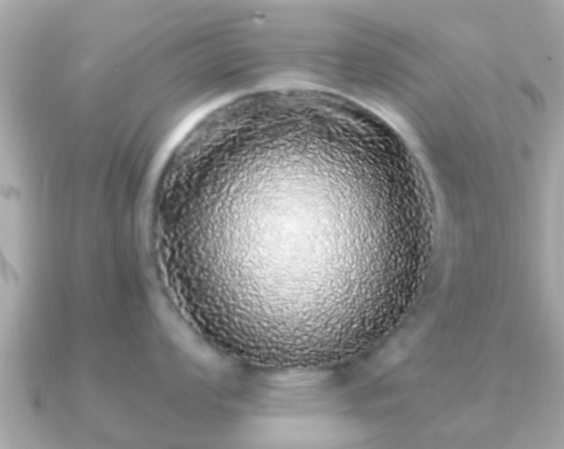 X0000091101008200708131103