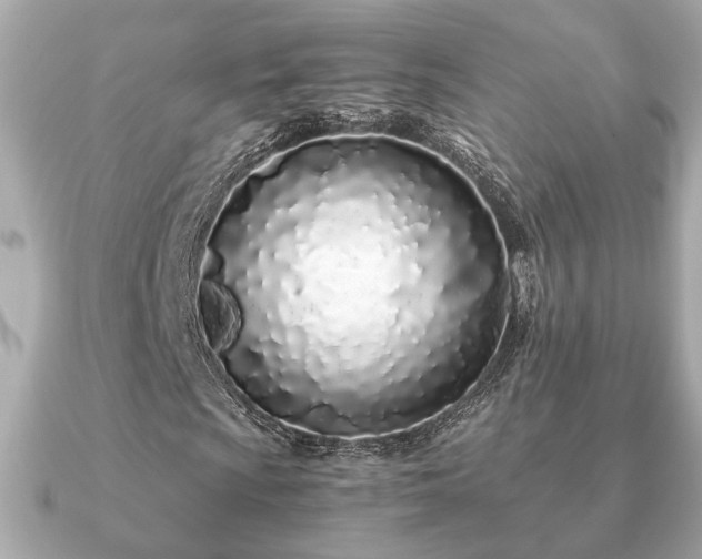 X0000091101009200708131102