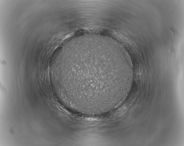 X0000091101010200708131102