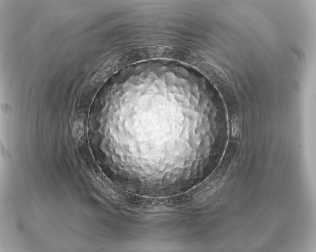 X0000091101011200708131102