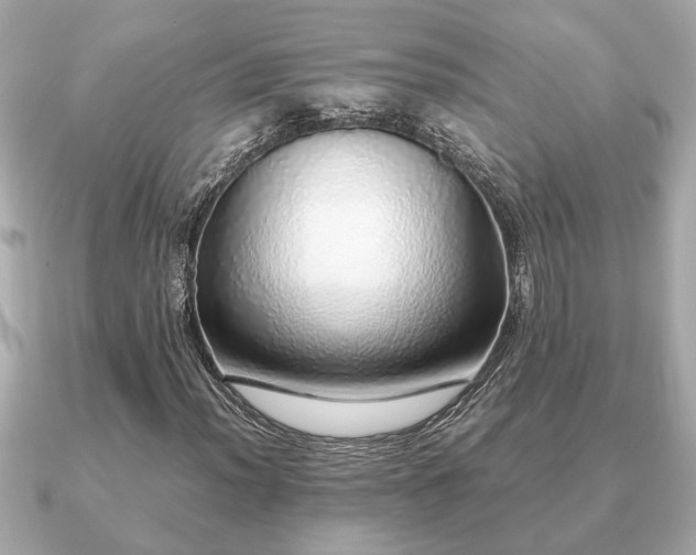 X0000091101012200708131102