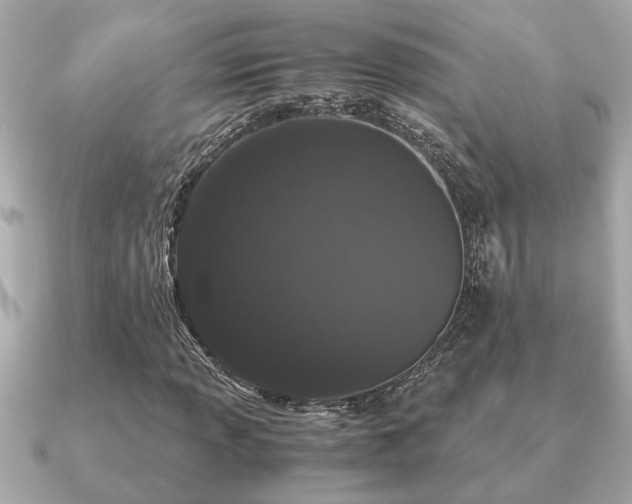 X0000091101013200708131102