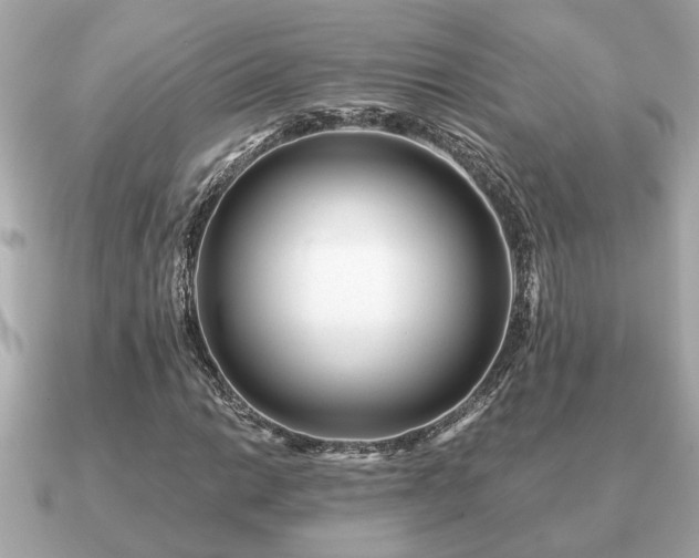 X0000091101014200708131102