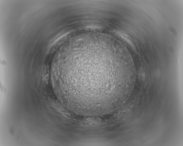 X0000091101015200708131102