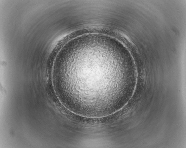 X0000091101016200708131102