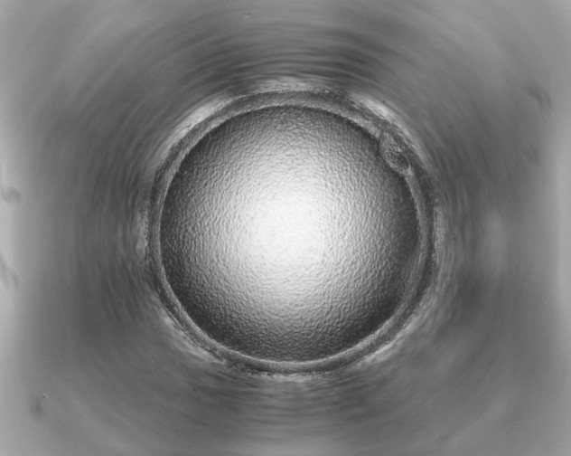 X0000091101017200708131102