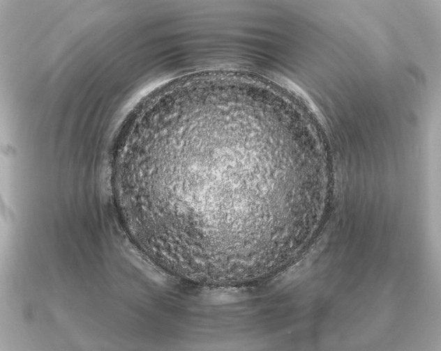 X0000091101019200708131102