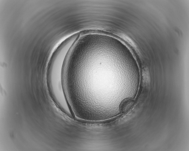 X0000091101020200708131102