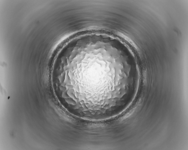 X0000091101021200708131102