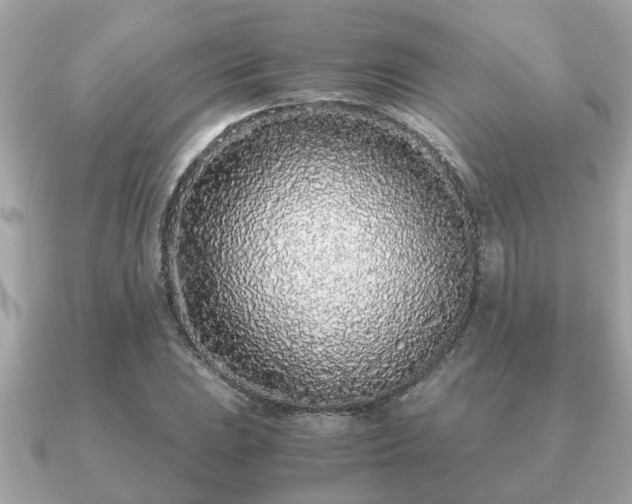 X0000091101023200708131102